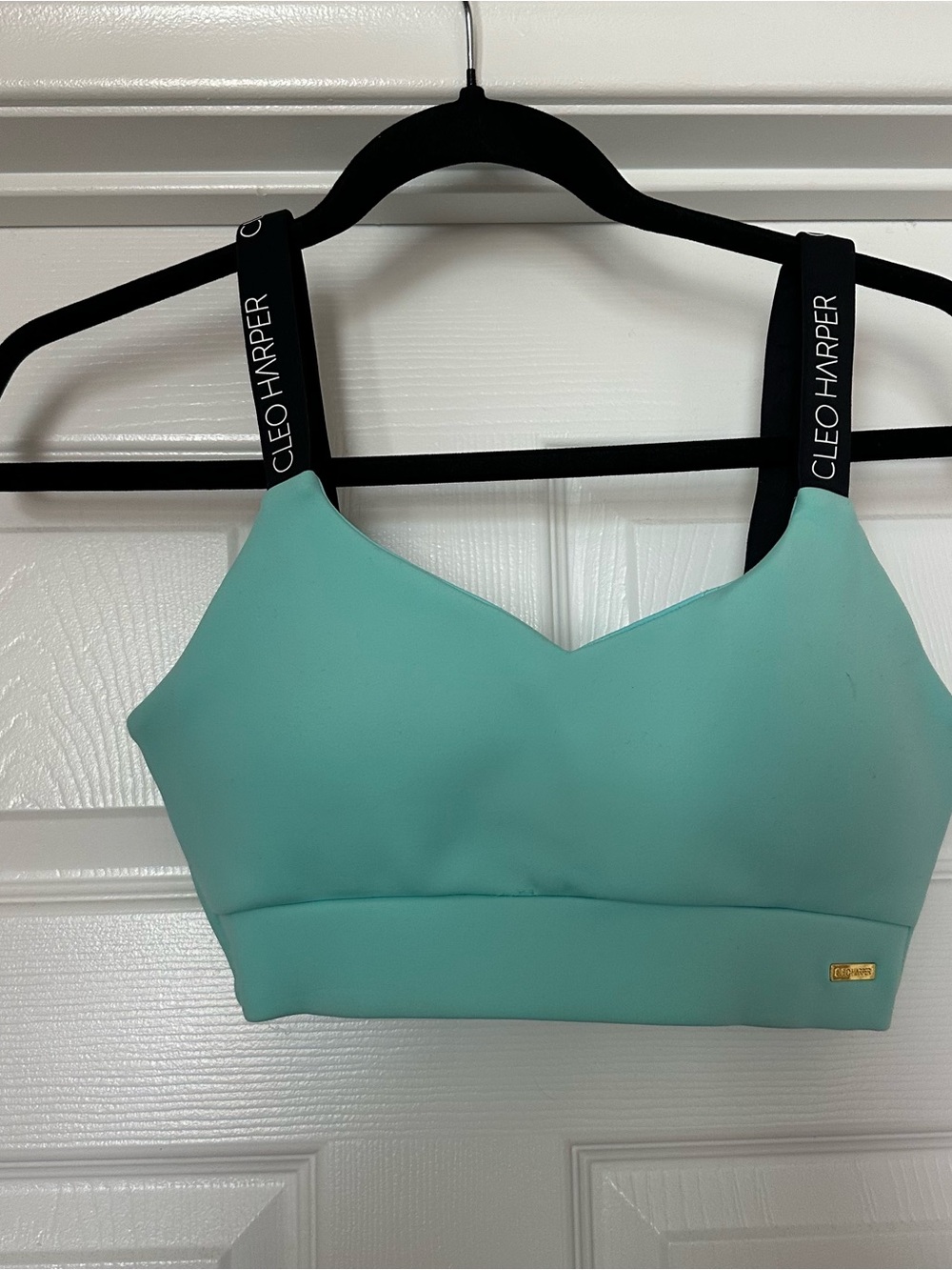 Cleo Harper Seafoam Padded Bralette with Branded Black Straps
